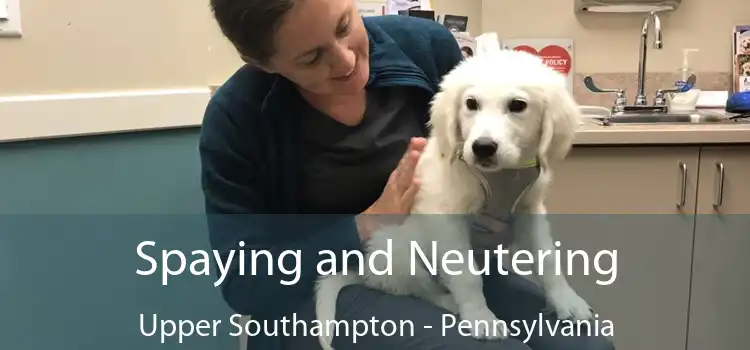 Spaying and Neutering Upper Southampton - Pennsylvania