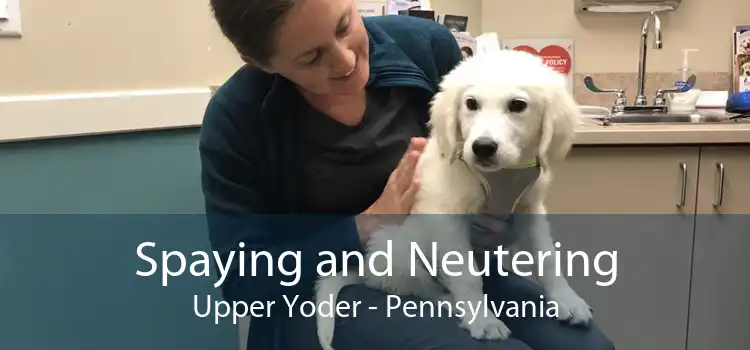Spaying and Neutering Upper Yoder - Pennsylvania