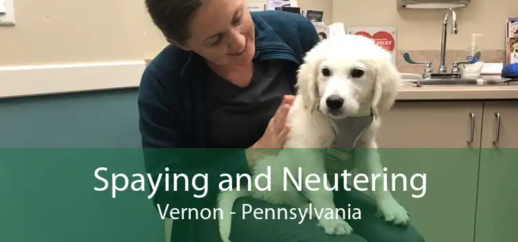 Spaying and Neutering Vernon - Pennsylvania