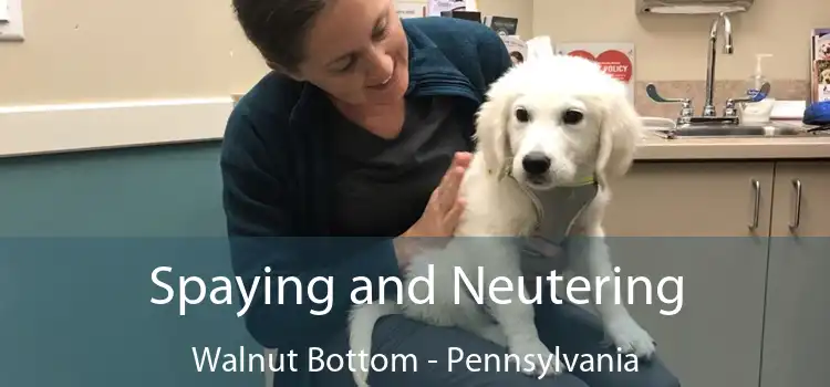 Spaying and Neutering Walnut Bottom - Pennsylvania