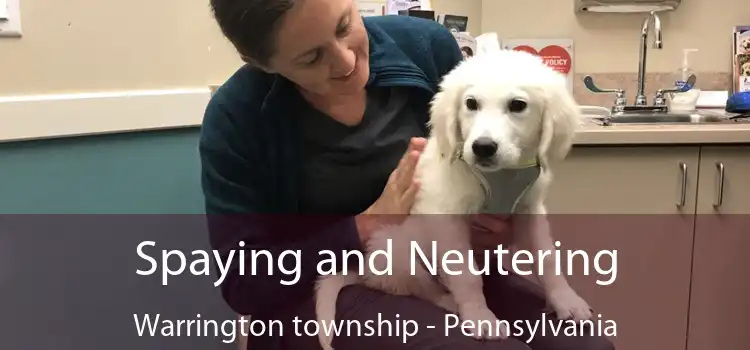 Spaying and Neutering Warrington township - Pennsylvania