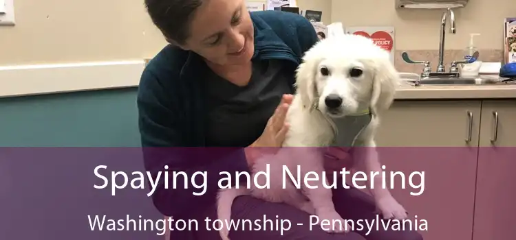 Spaying and Neutering Washington township - Pennsylvania