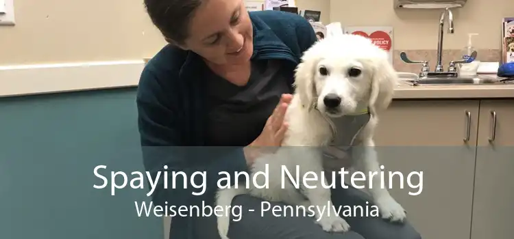 Spaying and Neutering Weisenberg - Pennsylvania