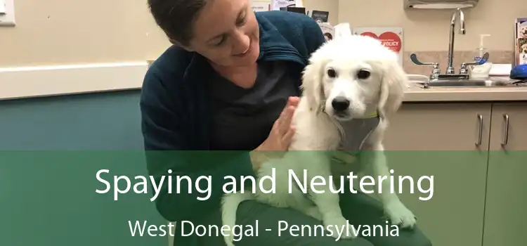 Spaying and Neutering West Donegal - Pennsylvania