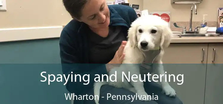Spaying and Neutering Wharton - Pennsylvania