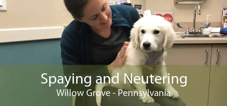 Spaying and Neutering Willow Grove - Pennsylvania