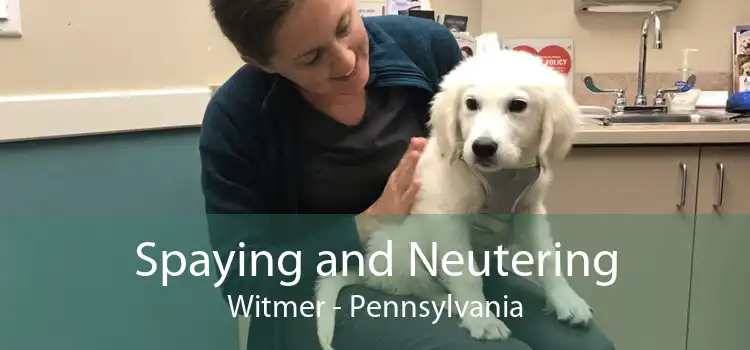 Spaying and Neutering Witmer - Pennsylvania