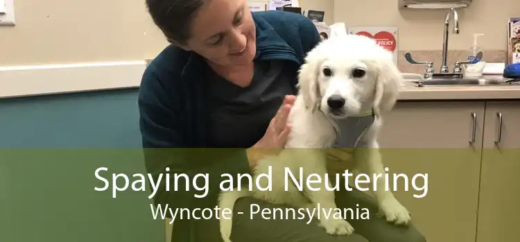 Spaying and Neutering Wyncote - Pennsylvania