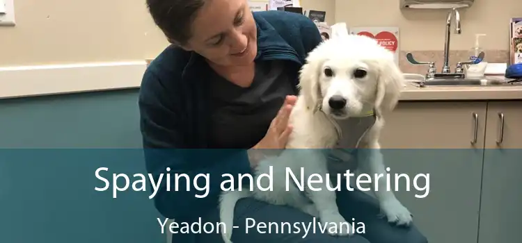 Spaying and Neutering Yeadon - Pennsylvania