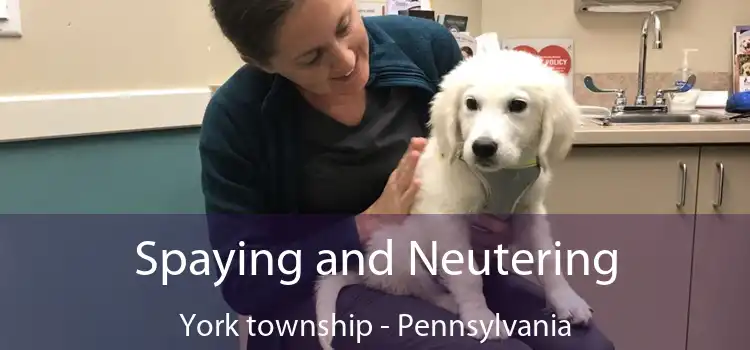 Spaying and Neutering York township - Pennsylvania