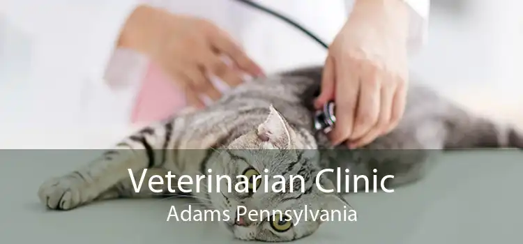 Veterinarian Clinic Adams Pennsylvania