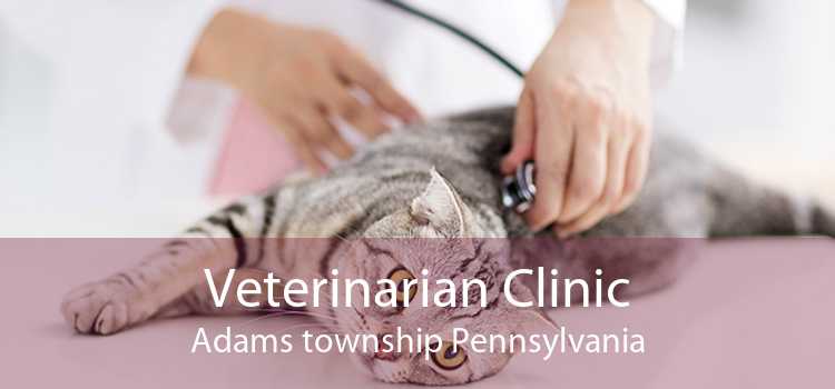 Veterinarian Clinic Adams township Pennsylvania