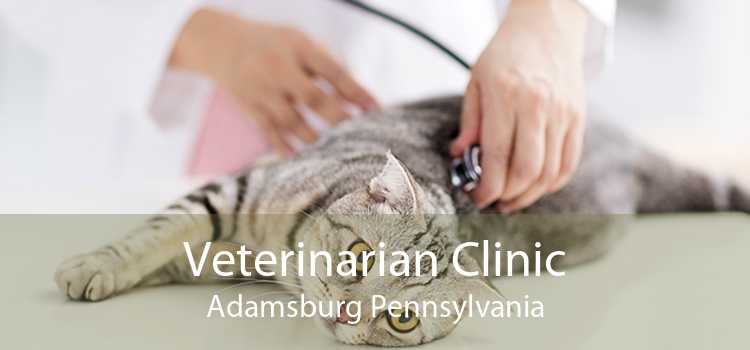 Veterinarian Clinic Adamsburg Pennsylvania