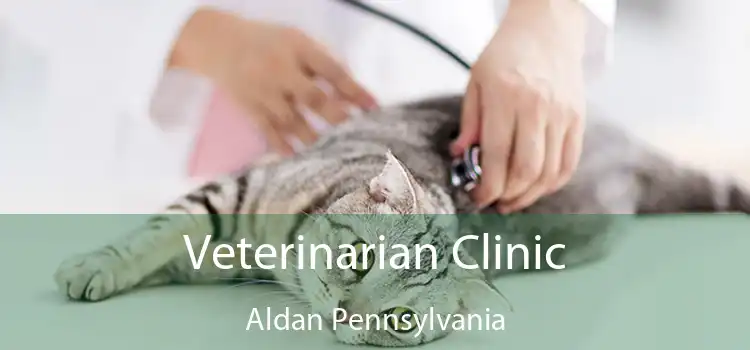 Veterinarian Clinic Aldan Pennsylvania
