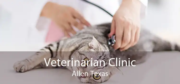 Veterinarian Clinic Allen Texas
