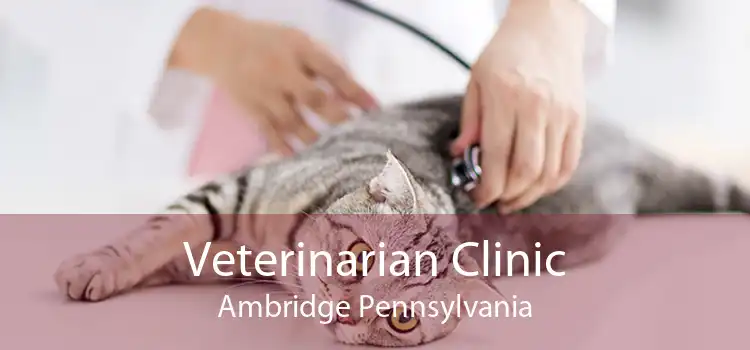 Veterinarian Clinic Ambridge Pennsylvania