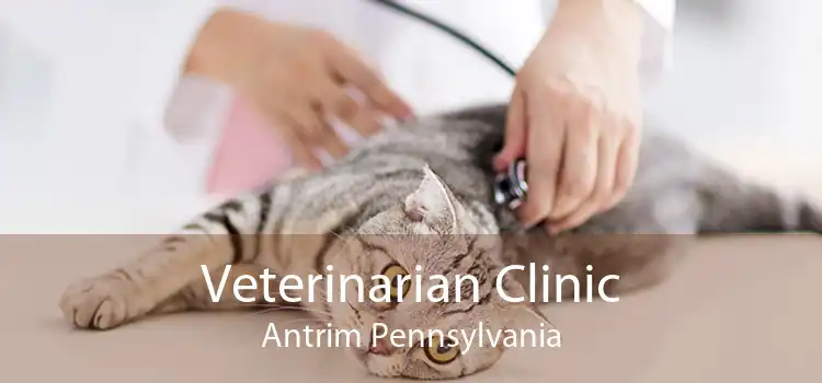 Veterinarian Clinic Antrim Pennsylvania