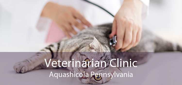 Veterinarian Clinic Aquashicola Pennsylvania