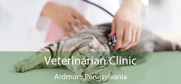 Veterinarian Clinic Ardmore Pennsylvania