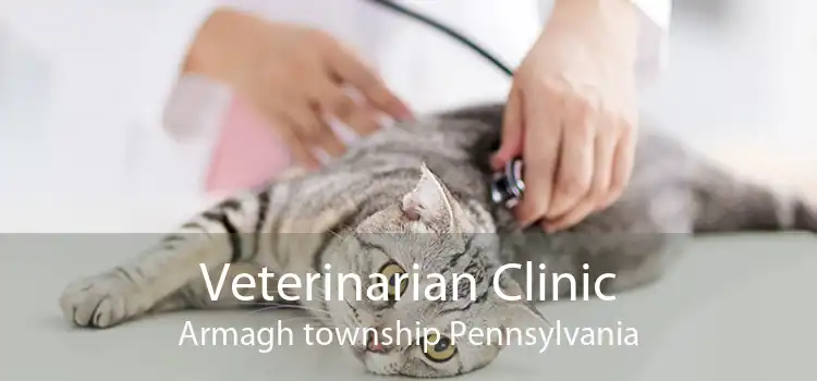 Veterinarian Clinic Armagh township Pennsylvania
