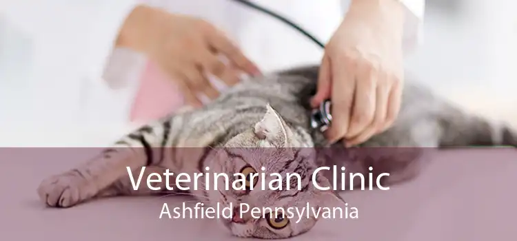 Veterinarian Clinic Ashfield Pennsylvania