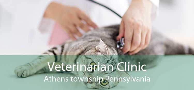Veterinarian Clinic Athens township Pennsylvania