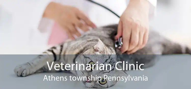Veterinarian Clinic Athens township Pennsylvania