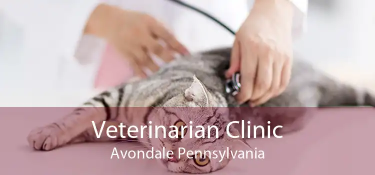 Veterinarian Clinic Avondale Pennsylvania