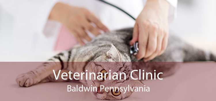 Veterinarian Clinic Baldwin Pennsylvania