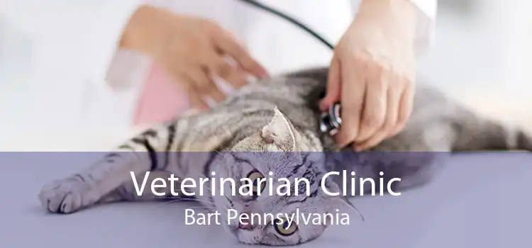 Veterinarian Clinic Bart Pennsylvania