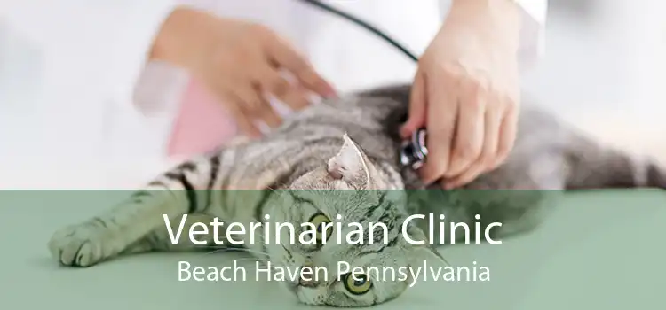 Veterinarian Clinic Beach Haven Pennsylvania