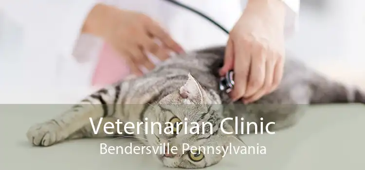 Veterinarian Clinic Bendersville Pennsylvania