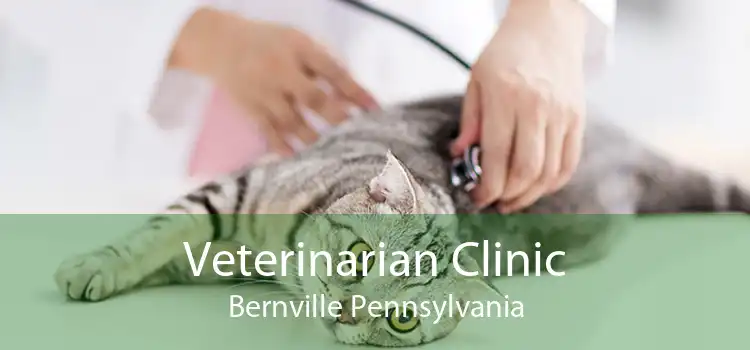 Veterinarian Clinic Bernville Pennsylvania