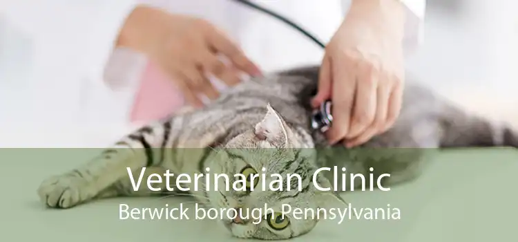 Veterinarian Clinic Berwick borough Pennsylvania