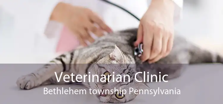 Veterinarian Clinic Bethlehem township Pennsylvania