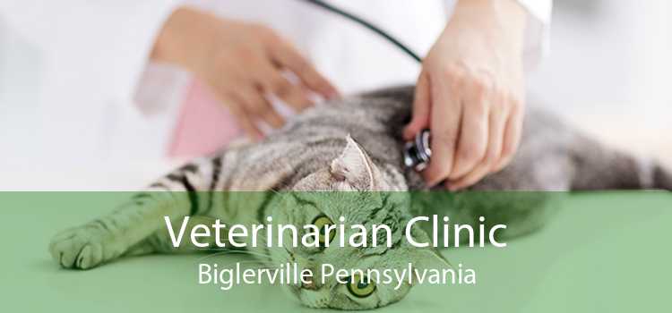 Veterinarian Clinic Biglerville Pennsylvania