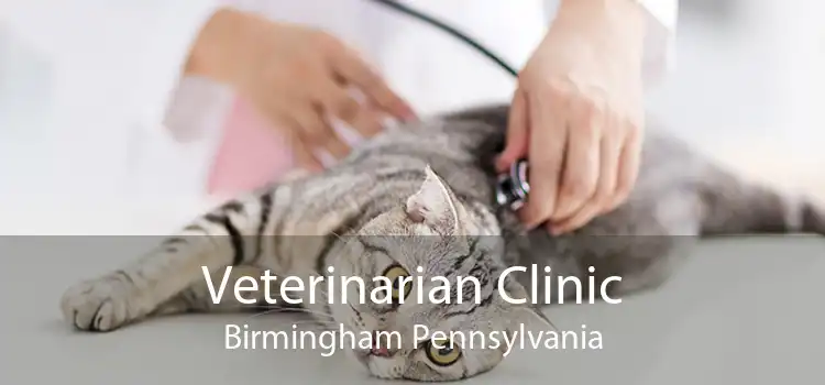 Veterinarian Clinic Birmingham Pennsylvania