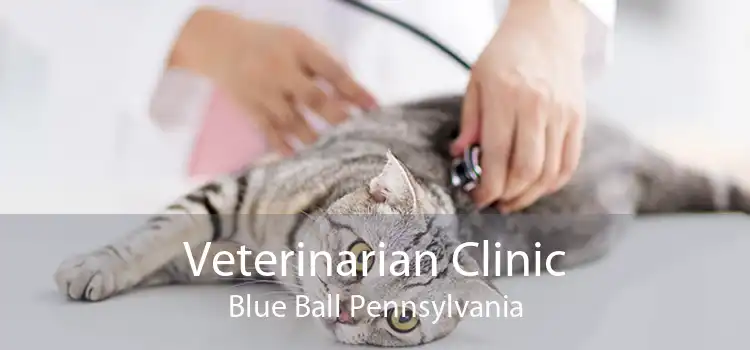 Veterinarian Clinic Blue Ball Pennsylvania