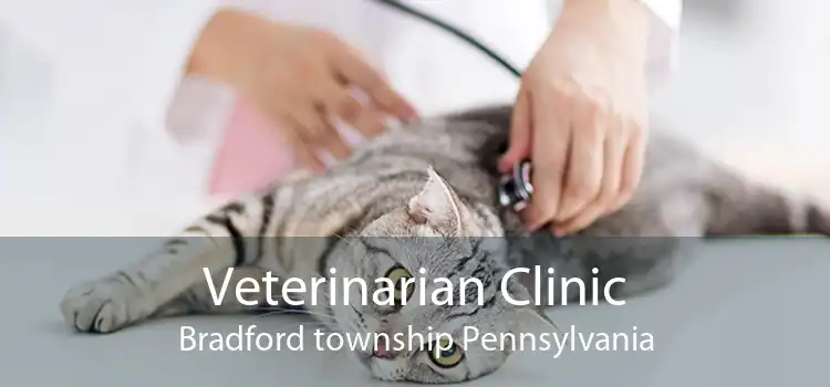 Veterinarian Clinic Bradford township Pennsylvania