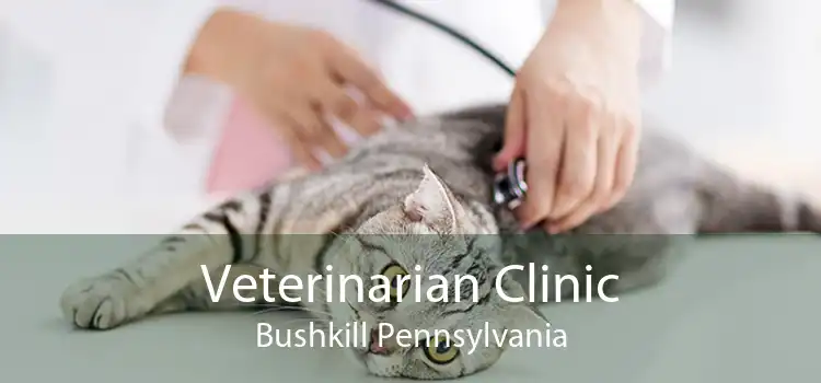 Veterinarian Clinic Bushkill Pennsylvania