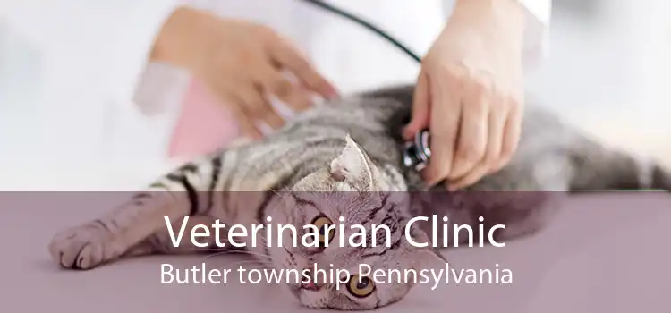 Veterinarian Clinic Butler township Pennsylvania