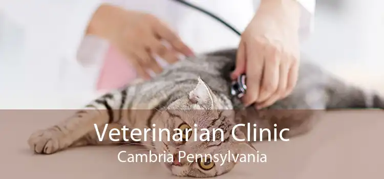 Veterinarian Clinic Cambria Pennsylvania