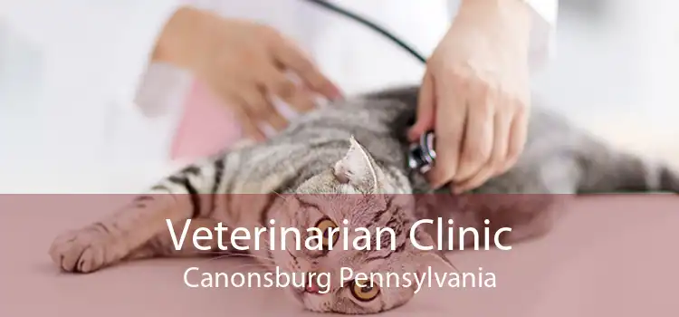 Veterinarian Clinic Canonsburg Pennsylvania