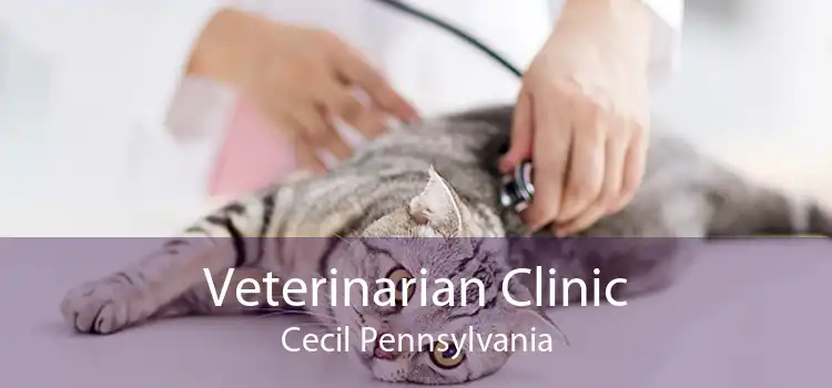 Veterinarian Clinic Cecil Pennsylvania