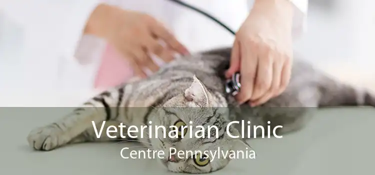 Veterinarian Clinic Centre Pennsylvania