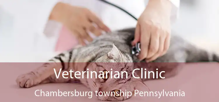 Veterinarian Clinic Chambersburg township Pennsylvania