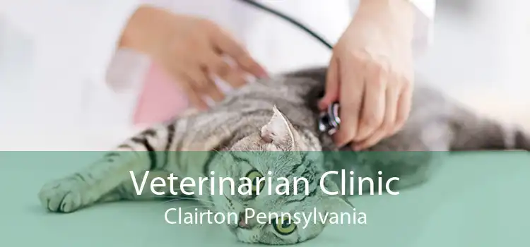 Veterinarian Clinic Clairton Pennsylvania