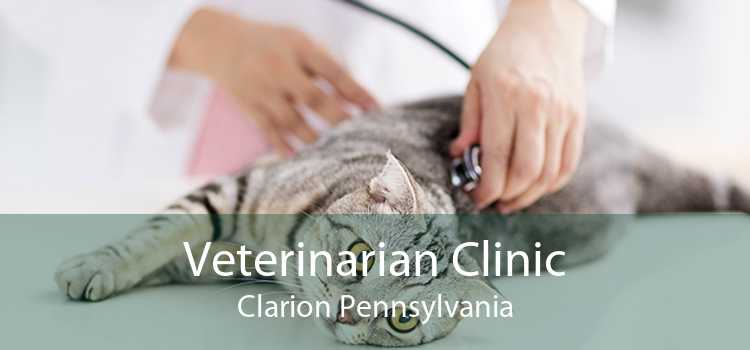 Veterinarian Clinic Clarion Pennsylvania