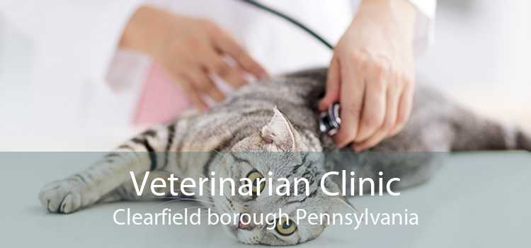 Veterinarian Clinic Clearfield borough Pennsylvania
