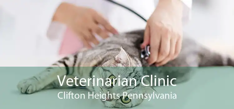 Veterinarian Clinic Clifton Heights Pennsylvania